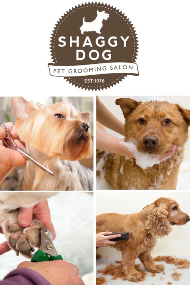 images/advert_images/dove-release_files/shaggy dog.png